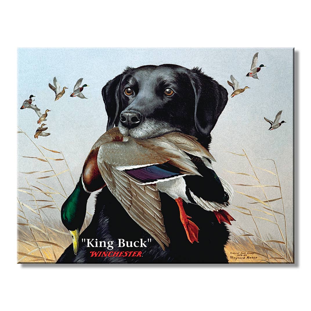 Winchester King Buck