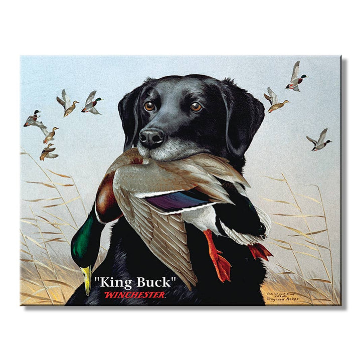 Winchester King Buck