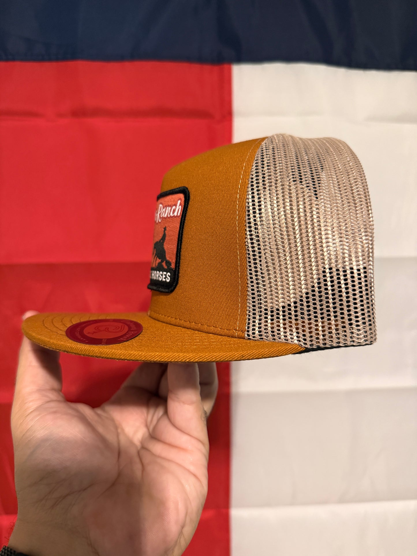 Cabana’s Ranch Hat - Performance Horses