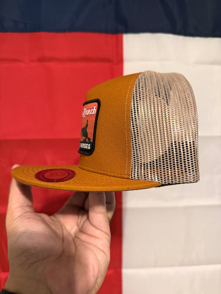 Cabana’s Ranch Hat - Performance Horses