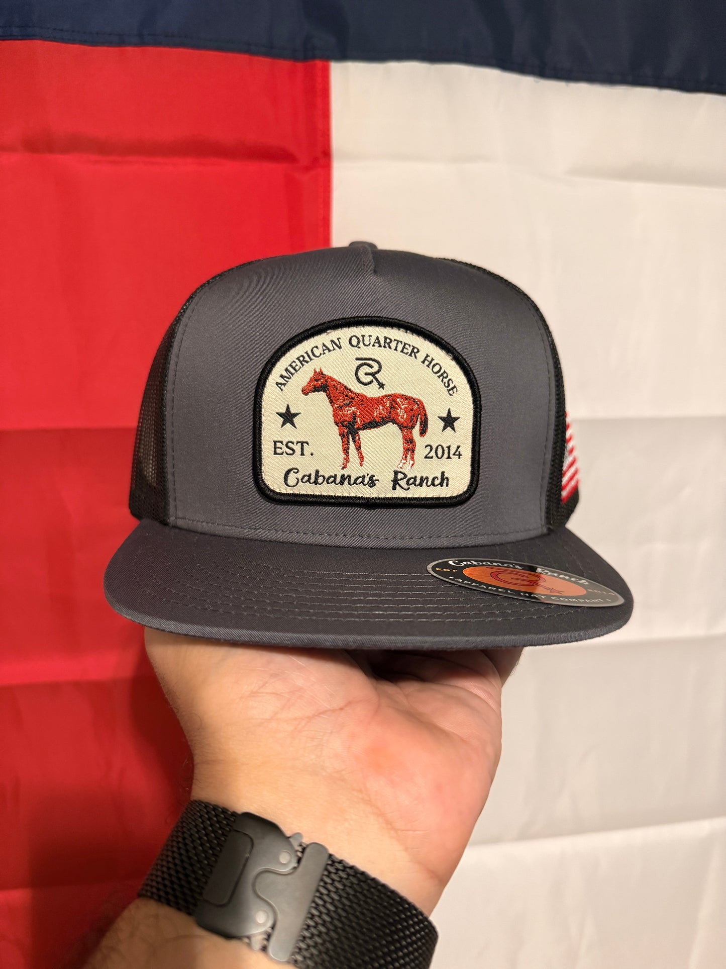Cabana’s Ranch Hat - Quarter Horse