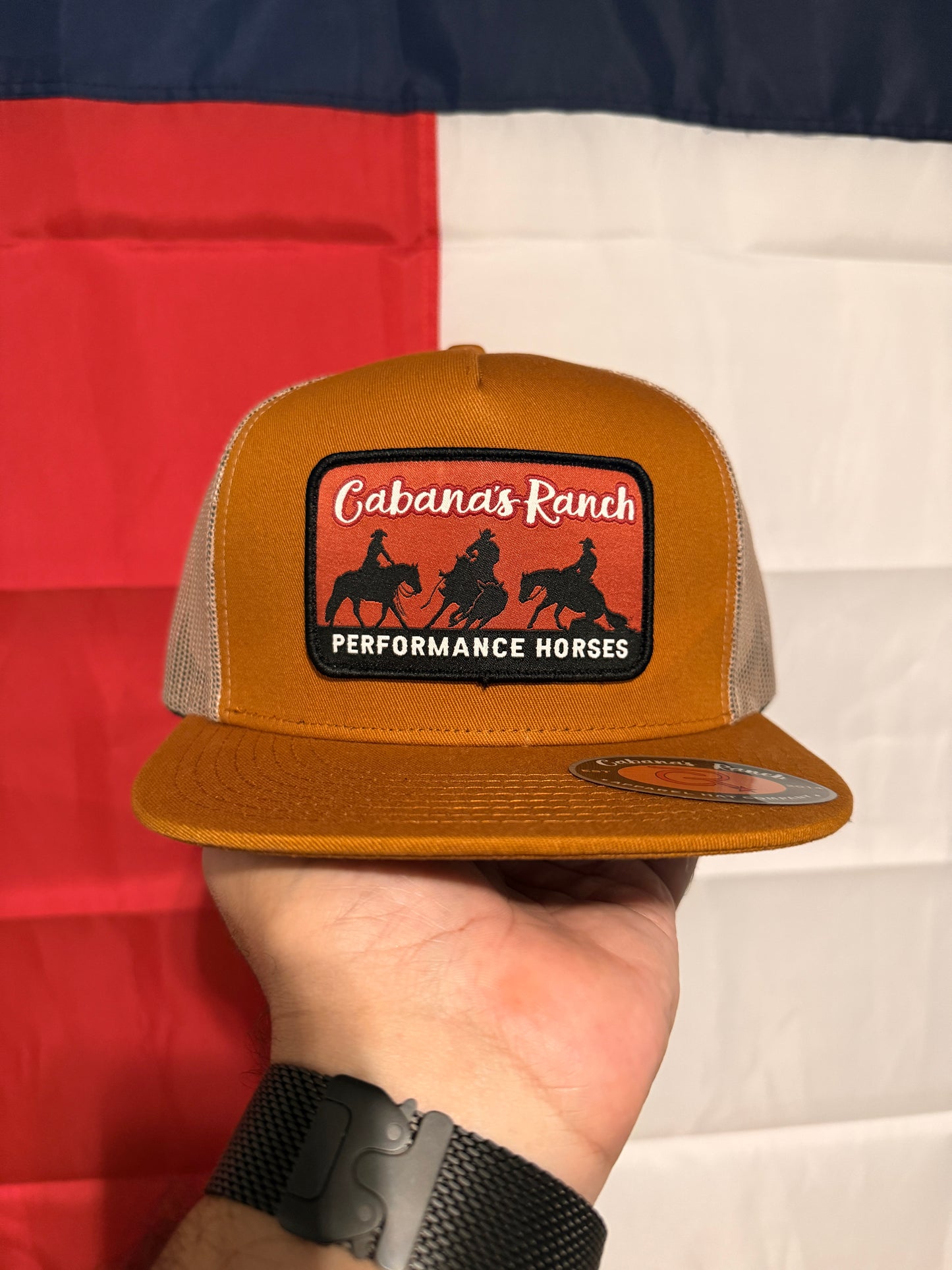 Cabana’s Ranch Hat - Performance Horses