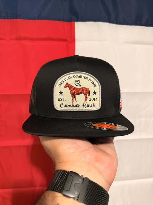 Cabana’s Ranch Hat - Quarter Horse