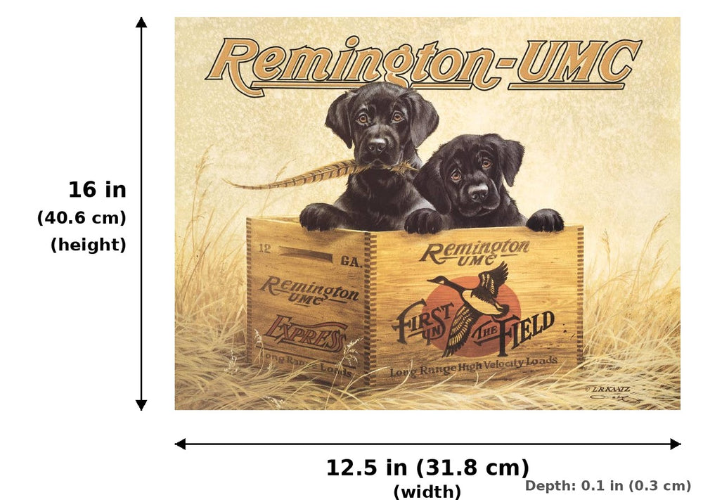 REM - Finder's Keepers Tin Sign - Measurements