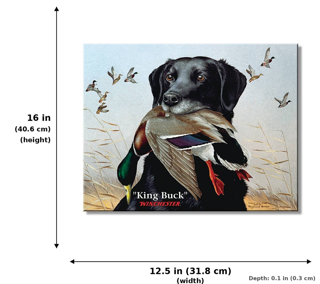 Winchester King Buck - Measurements